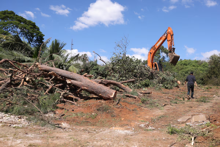 Proteção ambiental em pauta: Justiça reage ao corte de árvores em SP