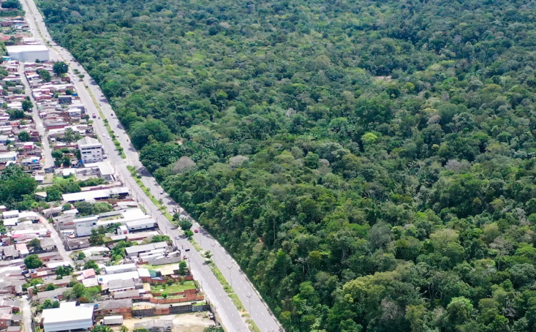  Governo terá 180 dias para apresentar plano ambiental