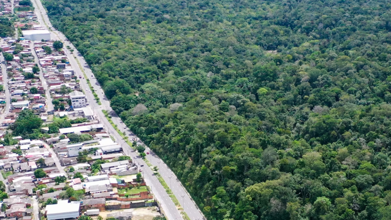 Governo terá 180 dias para apresentar plano ambiental